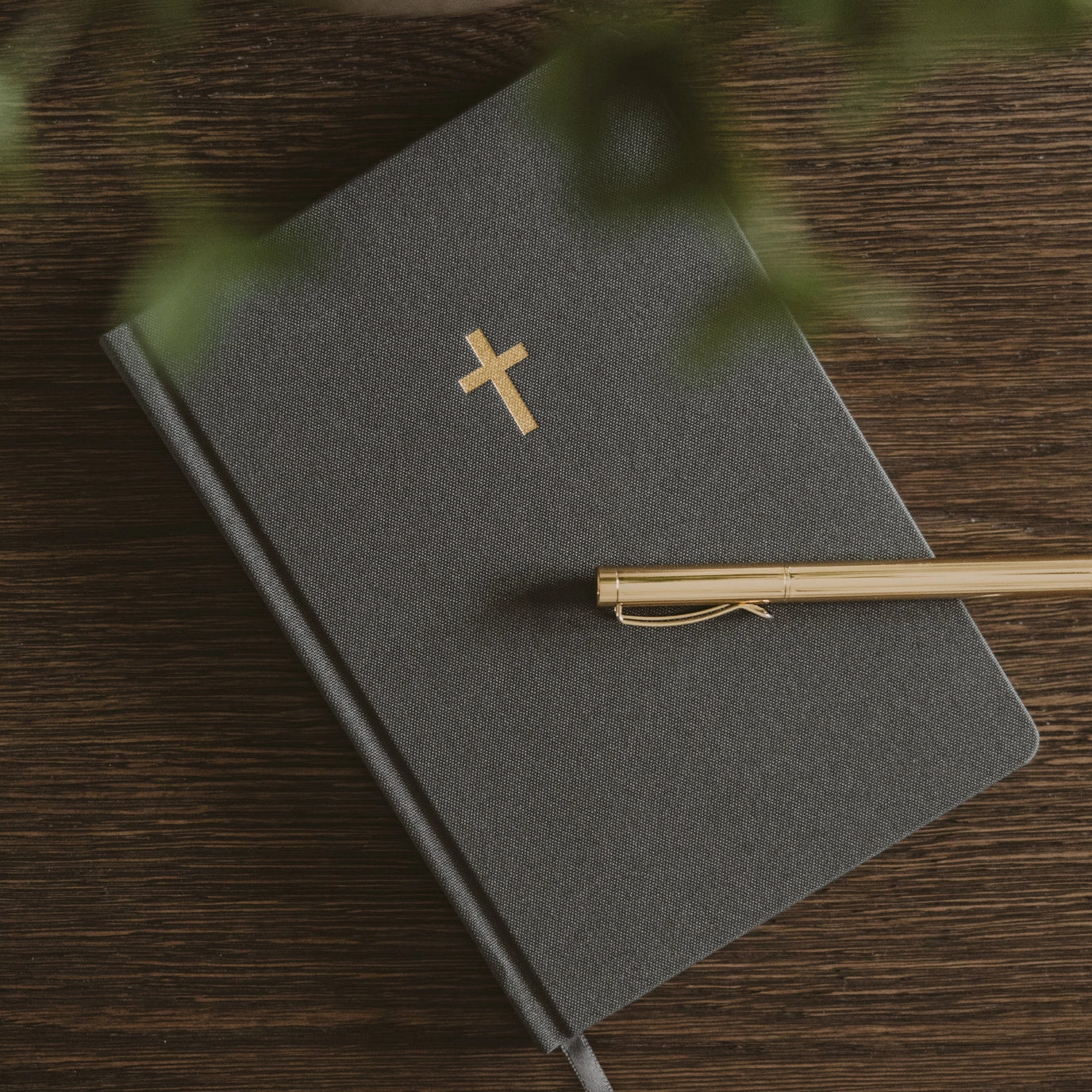 Rooted Faith Journal
